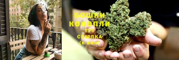 бошки Белокуриха