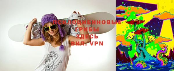 бошки Белокуриха