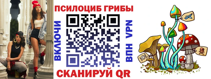 Галлюциногенные грибы Magic Shrooms  где найти   Вышний Волочёк 